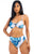 Two Piece Tropical Leave Print Bikini