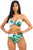 Two Piece Tropical Leave Print Bikini