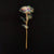 Enchanted Galaxy Rose Eternal 24K Gold